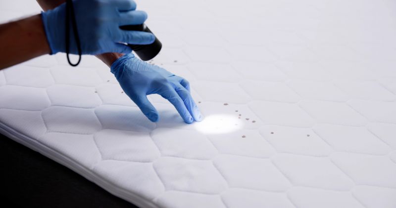 Bed Bug Treatment Service detail
