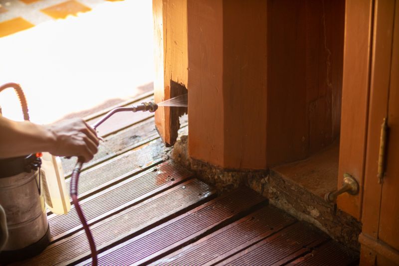 Termite Control
